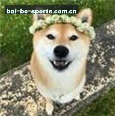 吴婷
